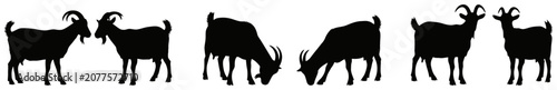 Collection of goat silhouettes in various poses