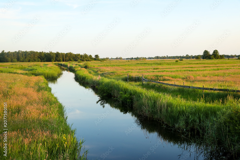 Obraz premium Small creek through nature grassland countryside landscape. Meadow with river canal in Dutch flat farmland.