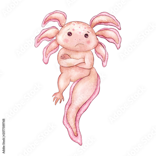 Billede på lærred Cute offended axolotl crossing arms, gills turned downwards