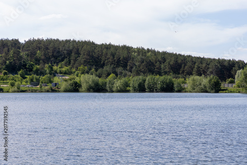 The green forest beyond the lake