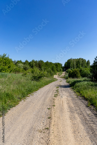 A country road on a sunny day