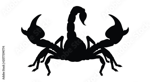 Photos A black silhouette of a scorpion with a curved tail and pincers on a white backg