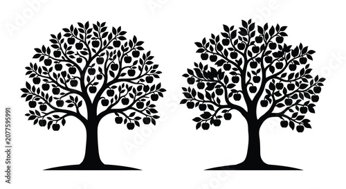 Fotografie Two apple trees with fruit depicted as a black silhouette against a white backgr