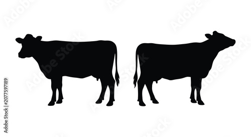 Two cattle silhouettes standing in profile against a white background a simple black silhouette cow bovine livestock farm