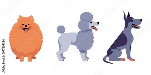 Cute Dog Breeds Vector Illustration Set.Cartoon Dog Breed Collection Clipart SVG ,EPS. Adorable Pet Dog Characters Flat Vector Bundle.Pomeranian Poodle Doberman Dog Vector Set.
