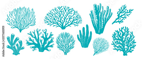 Fotografie Sea coral reef and ocean seaweed silhouettes, underwater plant icons