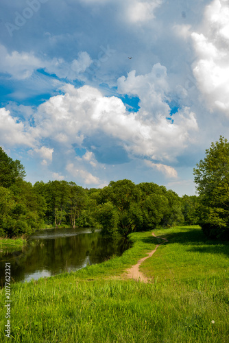 Quadro su tela A calm river winding through a green meadow under a blue sky