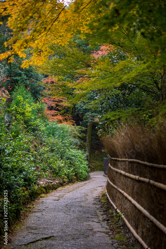 Senkoji Temple in Kyoto, Japan in autumn