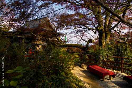 Senkoji Temple in Kyoto, Japan in autumn