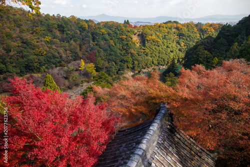 Senkoji Temple in Kyoto, Japan in autumn
