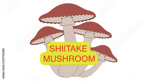 фотографія Very beautiful realistic vector of SHIITAKE MUSHROOM featuring broad textured caps and sturdy stems with a colorful label reading SHIITAKE MUSHROOM, isolated on white background