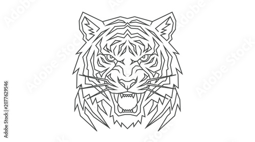 Tiger Face Close Up Drawing.