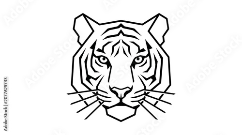 Tiger Face Close Up Portrait.