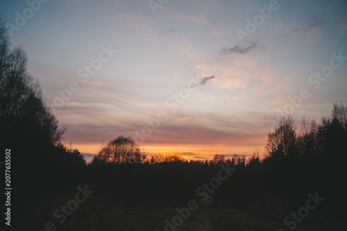 sunset in the forest