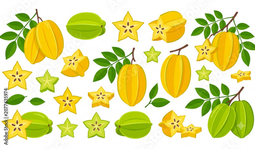 Fotografie Star fruit vector illustration with whole and sliced Averrhoa carambola isolated