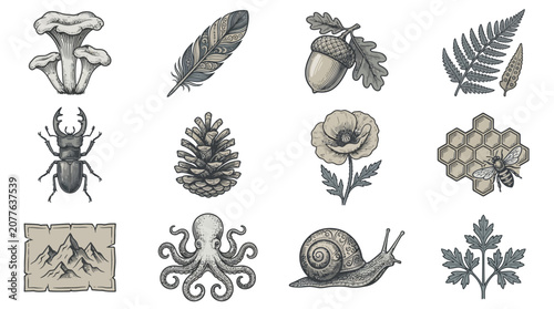 Organic nature sea and forest illustration set