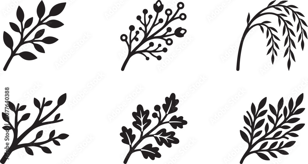 Fototapeta premium Six different black and white botanical leaf branch vector illustrations Vector
