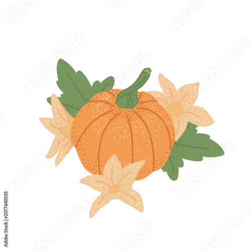 Orange pumpkin vegetable with green leaves, flowers. Autumn holiday decorative element, fall season decor. Flat vector isolated clipart