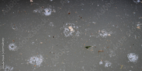Photos Dirty water with foam and pollutants floating on the surface