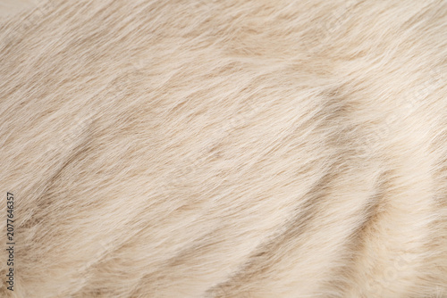 Obraz na plátně Detailed macro view of soft luxurious natural creamy white fluffy faux fur textu