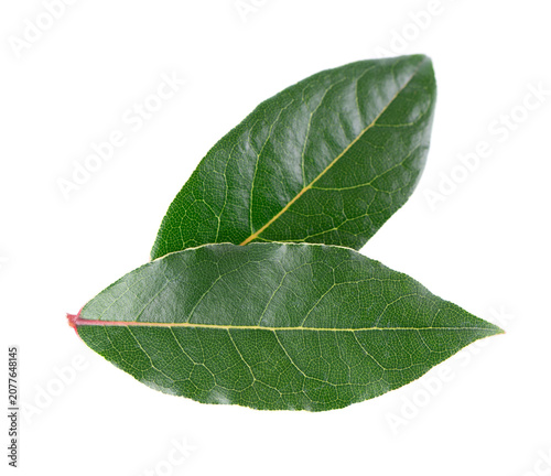 Fresh laurel leaves isolated on white background. Bay leaf herb. Clipping path. Top view.