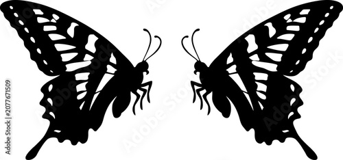 Foto Detailed butterfly silhouette pair facing each other graphic design