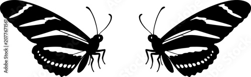 Fotografía Striped butterfly silhouette pair facing each other on white background