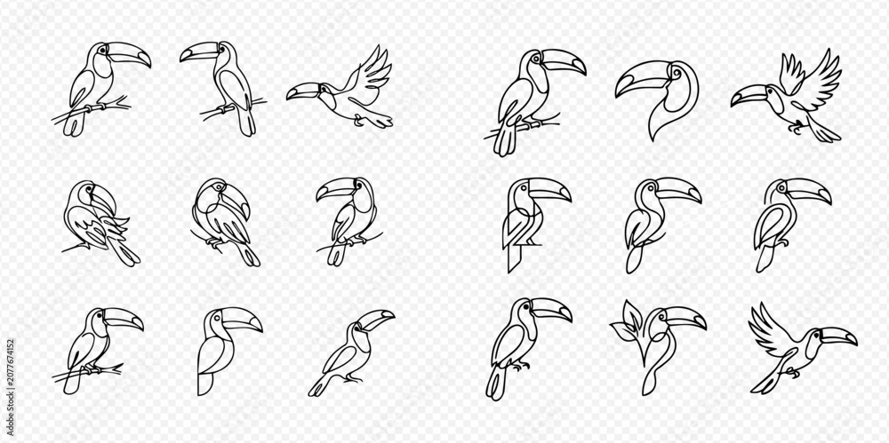 Fototapeta premium Set of toucan line art illustrations in various poses, perfect for tropical designs and logos.
