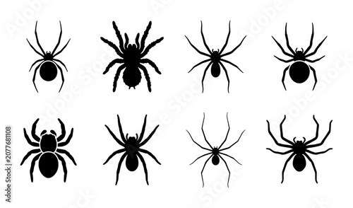 Billede på lærred Set of 8 Black Spider Silhouettes, Arachnid Vector Icons for Halloween and Horro