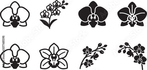 Elegant orchid flower vector illustrations in black and white Vector