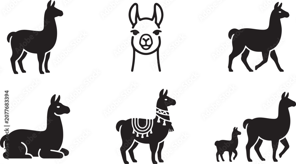 Fototapeta premium Black and white llama and alpaca icons in various poses Vector