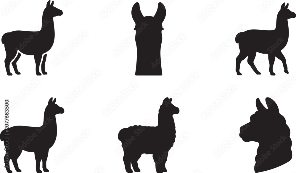 Fototapeta premium Black silhouette illustrations of llamas and alpacas in different poses Vector
