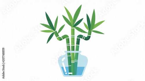 Healthy curly bamboo stems featuring green leaves arranged in a glass vase to promote positive energy and style in modern interior spaces.