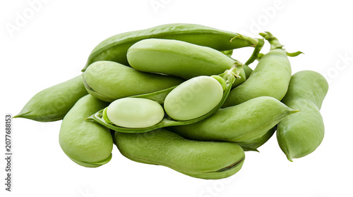 Obraz na plátne Fresh green broad beans in pods, some shelled showing pale green seeds