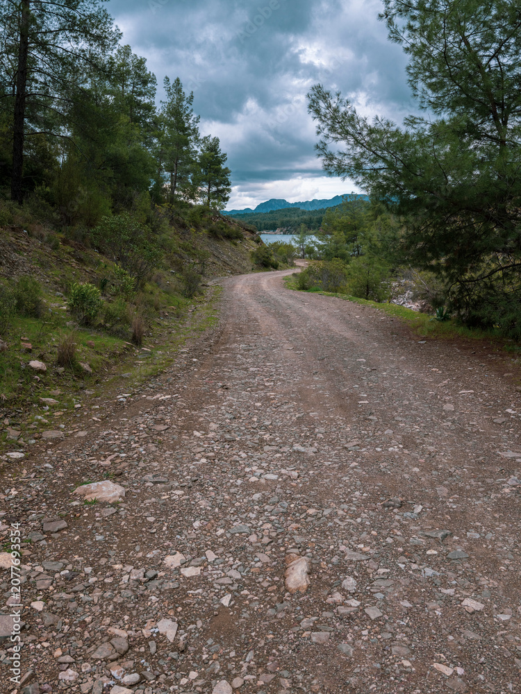 Fototapeta premium Dirt road passing through forest in mountainous terrain