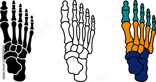 Foot_bones_silhouette_vector_icon_202606291631.eps