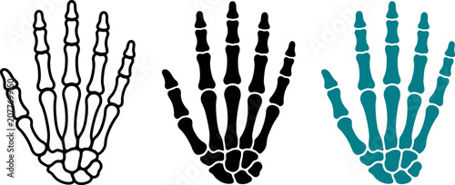 Hand_bones_silhouette_vector_202606291631 (1).eps