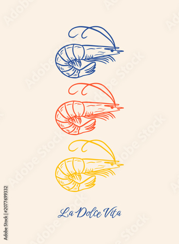 La Dolce Vita Italian seafood whimsical poster with hand drawn shrimp in vintage mediterranean style. Italian summer.  Vector design.