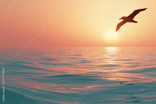 Serene Albatross Silhouetted Against Sunset