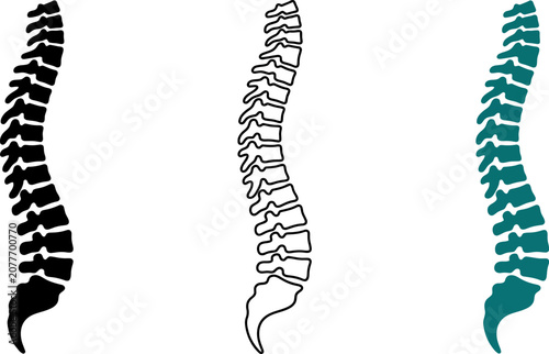 Spine_silhouette_vector_icon_202606291631.eps