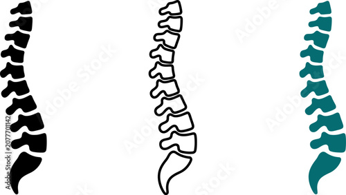 Spine_silhouette_vector_icon_202606291631 (1).eps