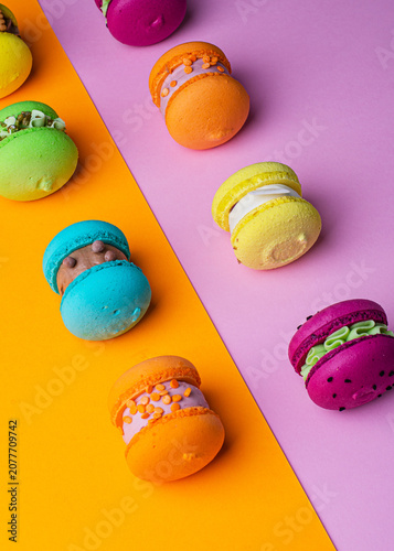 colored macaroons on a colored background, macaroons, dessert, French dessert, pastries