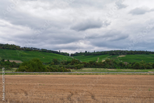 Canvas Print Yellow field, road, hills, trees, clouds, horizon