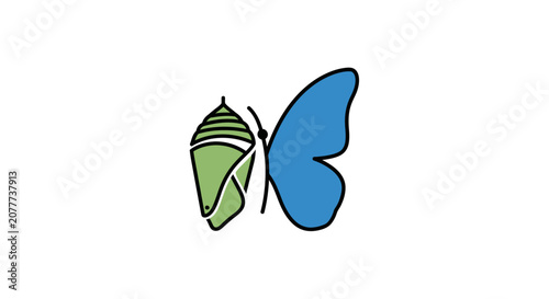 A simple illustration showing a green chrysalis and a blue butterfly wing