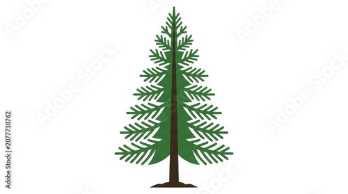 A stylized illustration of a green pine tree with a brown trunk on a white background