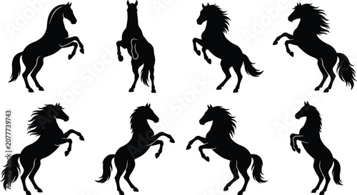 Fotografija Horse silhouette collection illustration, rearing stallion poses and equine move