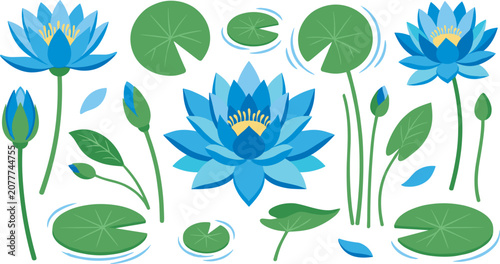 Canvas Print Beautiful blue lotus water lily flower vector illustration set with blooming blo