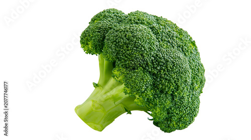 Fresh green broccoli floret with thick stem