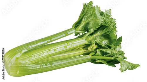 Fotografía Fresh green celery stalks with water droplets