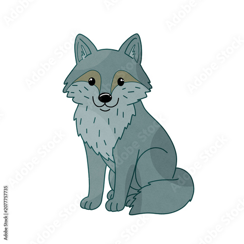 Cute gray wolf isolated on transparent background woodland animal illustration